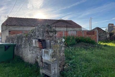 Villa i Santo Onofre e Serra do Bouro, Leiria, Santo Onofre e Serra do Bouro - € 180.000 | Ref: MRL-050 - foto 5