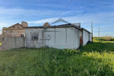 Villa i Santo Onofre e Serra do Bouro, Leiria, Santo Onofre e Serra do Bouro - € 180.000 | Ref: MRL-050 - foto 6