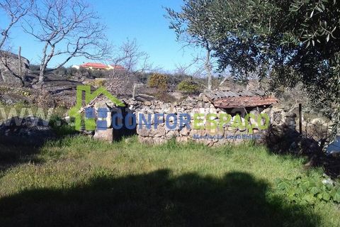 Landejendom i Castelo Branco, Castelo Branco, Castelo Branco - € 190.000 | Ref: 21012 - foto 1