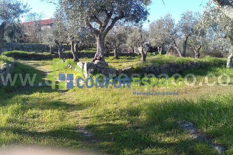 Landejendom i Castelo Branco, Castelo Branco, Castelo Branco - € 190.000 | Ref: 21012 - foto 2