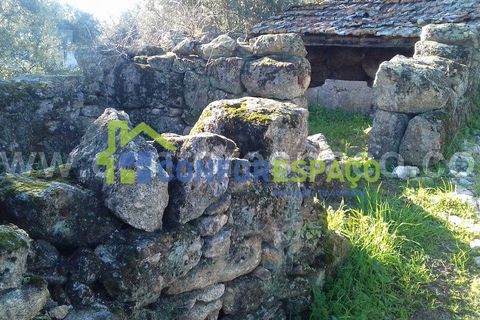 Landejendom i Castelo Branco, Castelo Branco, Castelo Branco - € 190.000 | Ref: 21012 - foto 4