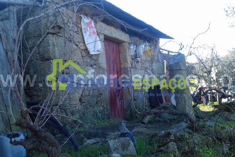 Landejendom i Castelo Branco, Castelo Branco, Castelo Branco - € 190.000 | Ref: 21012 - foto 7