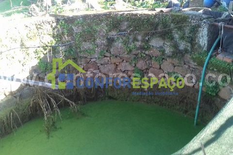 Landejendom i Castelo Branco, Castelo Branco, Castelo Branco - € 190.000 | Ref: 21012 - foto 8