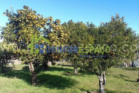 Landejendom i Castelo Branco, Castelo Branco, Castelo Branco - € 190.000 | Ref: 21012 - foto 9