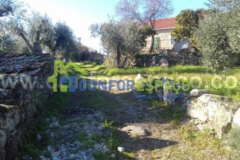 Landejendom i Castelo Branco, Castelo Branco, Castelo Branco - € 190.000 | Ref: 21012 - foto 11