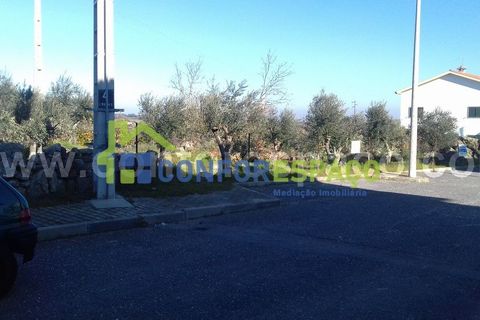 Landejendom i Castelo Branco, Castelo Branco, Castelo Branco - € 190.000 | Ref: 21012 - foto 13