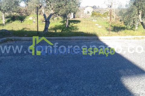 Landejendom i Castelo Branco, Castelo Branco, Castelo Branco - € 190.000 | Ref: 21012 - foto 14