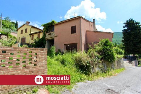 Landejendom i Matelica, Macerata, Matelica - € 20.000 | Ref: AR14/46 - foto 1