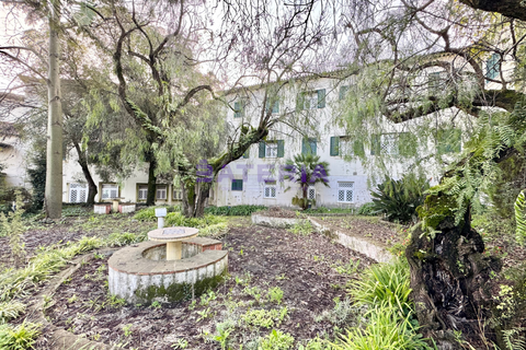 Farm hus i Carnaxide, Lisbon, Carnaxide - € 6.500.000 | Ref: BAT04-010 - foto 3