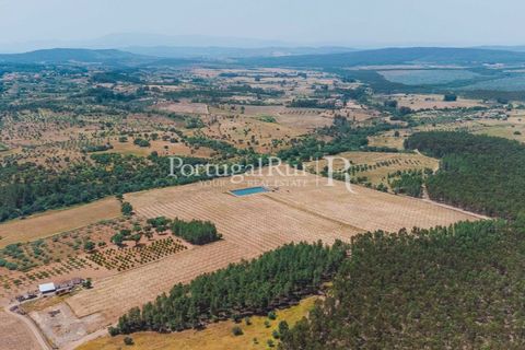 Farm i Penamacor, Castelo Branco, Penamacor - € 650.000 | Ref: MT289 - foto 1