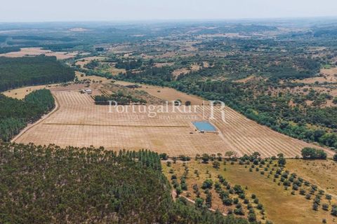 Farm i Penamacor, Castelo Branco, Penamacor - € 650.000 | Ref: MT289 - foto 2