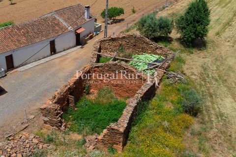 Farm i Penamacor, Castelo Branco, Penamacor - € 650.000 | Ref: MT289 - foto 6