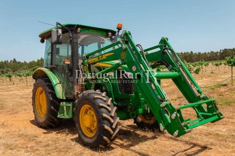 Farm i Penamacor, Castelo Branco, Penamacor - € 650.000 | Ref: MT289 - foto 12