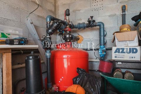 Farm i Penamacor, Castelo Branco, Penamacor - € 650.000 | Ref: MT289 - foto 14