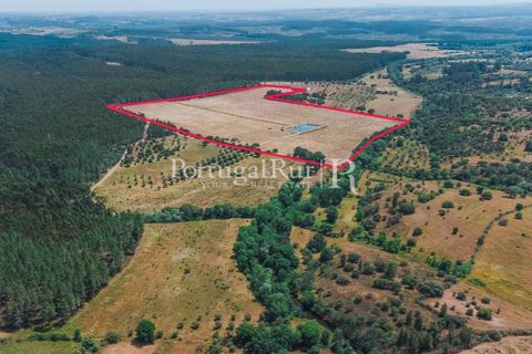Farm i Penamacor, Castelo Branco, Penamacor - € 650.000 | Ref: MT289 - foto 16