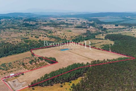 Farm i Penamacor, Castelo Branco, Penamacor - € 650.000 | Ref: MT289 - foto 18