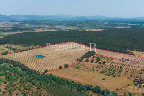 Farm i Penamacor, Castelo Branco, Penamacor - € 650.000 | Ref: MT289 - foto 19