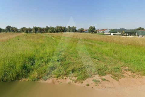 Terra a Barro, Aveiro, Barro - € 56.000 | Ref: 1012413/26 GL - foto 9