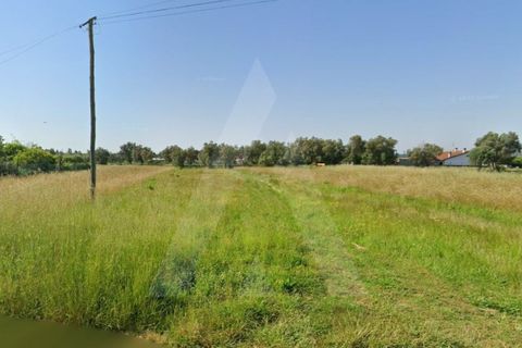 Terra a Barro, Aveiro, Barro - € 56.000 | Ref: 1012413/26 GL - foto 10
