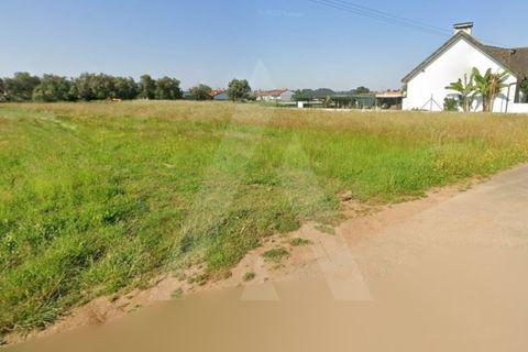 Terra a Barro, Aveiro, Barro - € 56.000 | Ref: 1012413/26 GL - foto 11