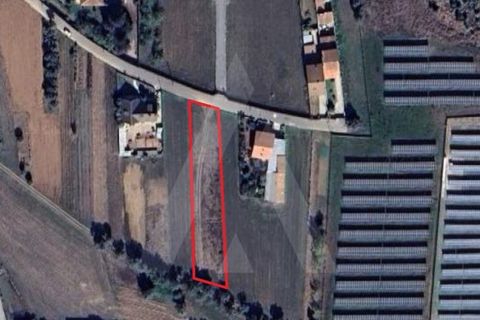Terra a Barro, Aveiro, Barro - € 56.000 | Ref: 1012413/26 GL - foto 13
