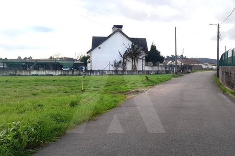Terra a Barro, Aveiro, Barro - € 56.000 | Ref: 1012413/26 GL - foto 14