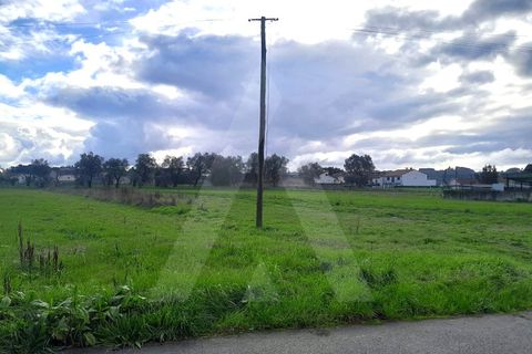 Terra a Barro, Aveiro, Barro - € 56.000 | Ref: 1012413/26 GL - foto 15