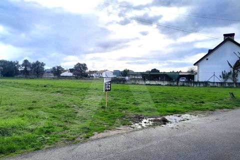 Terra a Barro, Aveiro, Barro - € 56.000 | Ref: 1012413/26 GL - foto 17