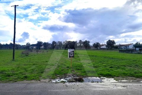 Terra a Barro, Aveiro, Barro - € 56.000 | Ref: 1012413/26 GL - foto 18