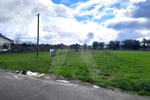 Terra a Barro, Aveiro, Barro - € 56.000 | Ref: 1012413/26 GL - foto 19