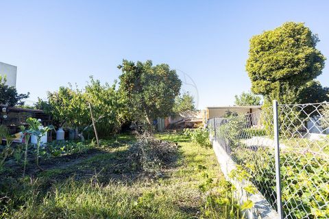 Villa i Couco, Santarem, Couco - € 120.000 | Ref: PE-123751418-199 - foto 21