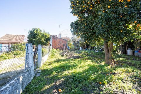Villa i Couco, Santarem, Couco - € 120.000 | Ref: PE-123751418-199 - foto 23