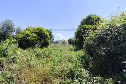 Villa i Agueda, Aveiro, Agueda - € 160.000 | Ref: 4067 - foto 3