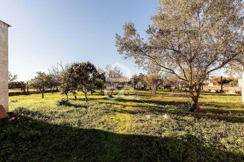 Farm hus i Evora, Evora, Evora - € 190.000 | Ref: 318/T/03756 - foto 4