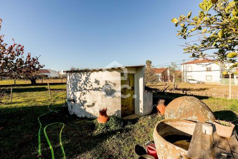 Farm hus i Evora, Evora, Evora - € 190.000 | Ref: 318/T/03756 - foto 10