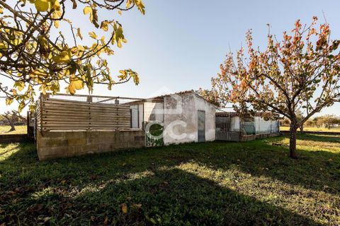 Farm hus i Evora, Evora, Evora - € 190.000 | Ref: 318/T/03756 - foto 11