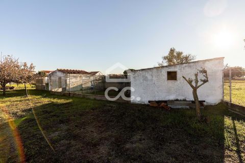 Farm hus i Evora, Evora, Evora - € 190.000 | Ref: 318/T/03756 - foto 12