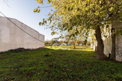 Farm hus i Evora, Evora, Evora - € 190.000 | Ref: 318/T/03756 - foto 15