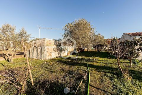 Farm hus i Evora, Evora, Evora - € 190.000 | Ref: 318/T/03756 - foto 18