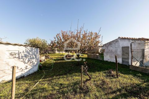 Farm hus i Evora, Evora, Evora - € 190.000 | Ref: 318/T/03756 - foto 19