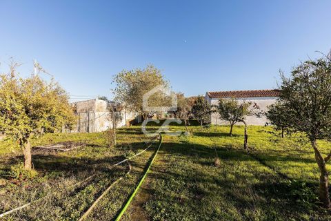 Farm hus i Evora, Evora, Evora - € 190.000 | Ref: 318/T/03756 - foto 20