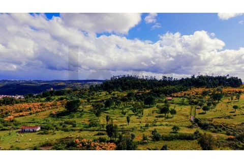 Villa a Gaviao, Portalegre, Gaviao - € 37.750 | Ref: KWPT-025545 - foto 16