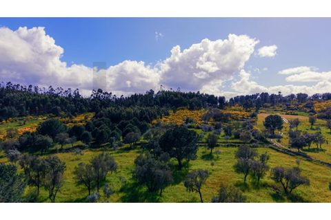 Villa a Gaviao, Portalegre, Gaviao - € 37.750 | Ref: KWPT-025545 - foto 17