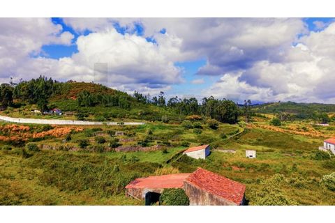 Terra a Gaviao, Portalegre, Gaviao - € 35.000 | Ref: KWPT-025542 - foto 3