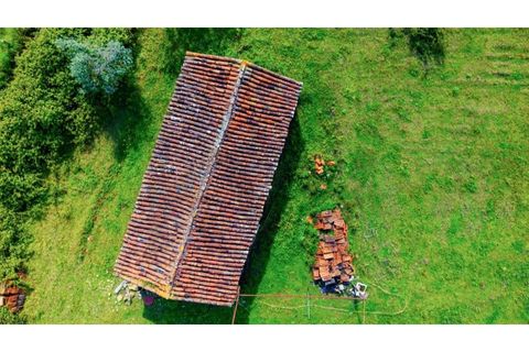 Terra a Gaviao, Portalegre, Gaviao - € 35.000 | Ref: KWPT-025542 - foto 4