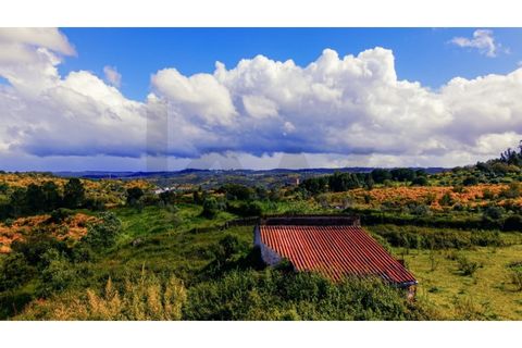 Terra a Gaviao, Portalegre, Gaviao - € 35.000 | Ref: KWPT-025542 - foto 5