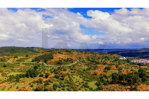Terra a Gaviao, Portalegre, Gaviao - € 35.000 | Ref: KWPT-025542 - foto 6