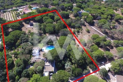 Helårsgrund i Almancil, Faro, Almancil - € 2.200.000 | Ref: 2203-179 - foto 6