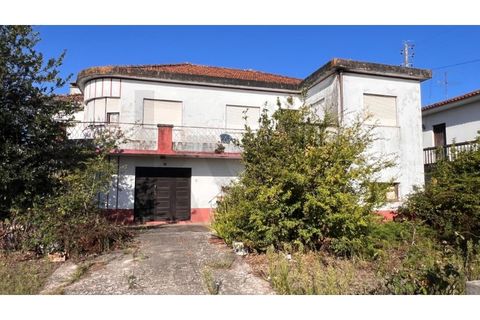 Villa i Vagos, Aveiro, Vagos - € 350.000 | Ref: KWPT-025525 - foto 3