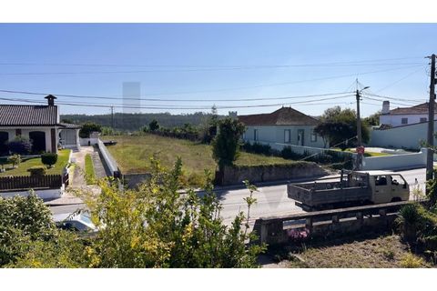 Villa i Vagos, Aveiro, Vagos - € 350.000 | Ref: KWPT-025525 - foto 5